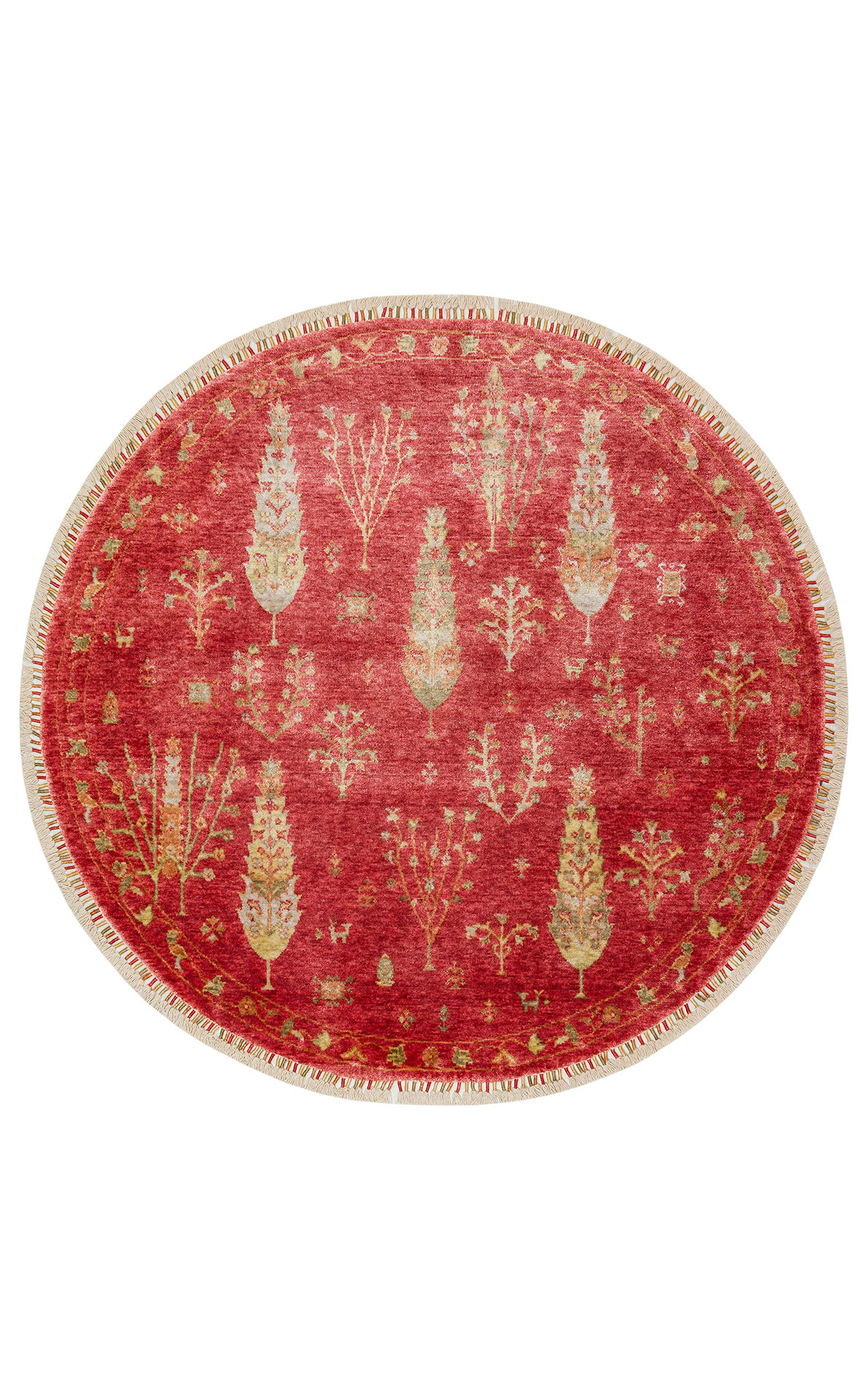 ZR 08 RED AUTUMN Q